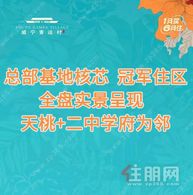 房地产行业网签是什么意思_房地产做网络是什么意思_q房网是什么企业