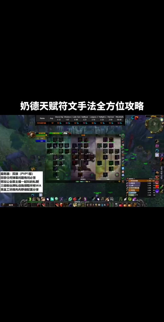 怀旧服奶德常用宏_9.0奶德治疗宏_6.2奶德pvp宏