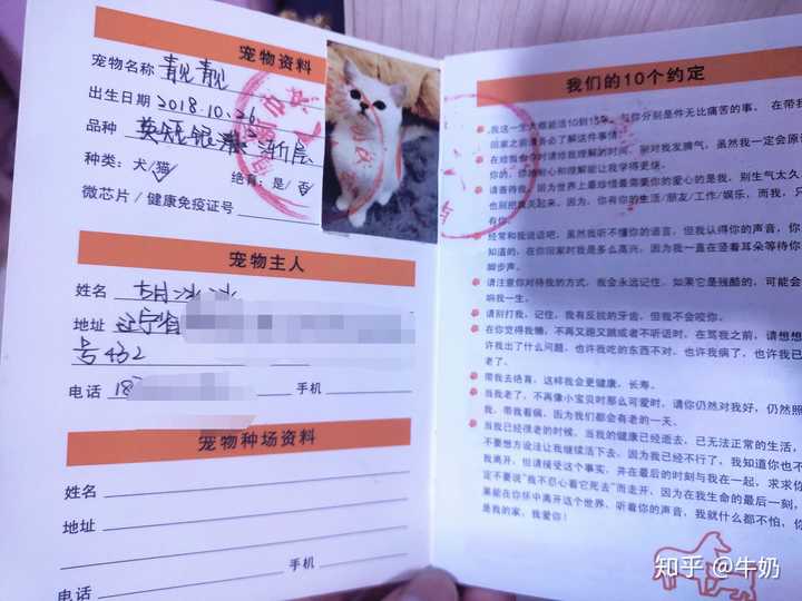 高铁上可不可以带猫_高铁能带猫上车吗_高铁可带猫吗