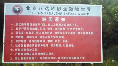 八达岭老虎伤人法院判决_八达岭老虎伤人案判决_判决老虎伤人案八达岭事件