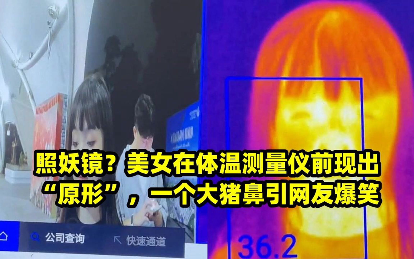 照妖镜为什么打不开_照妖镜怎么下载_一找照妖镜应用现在没了?