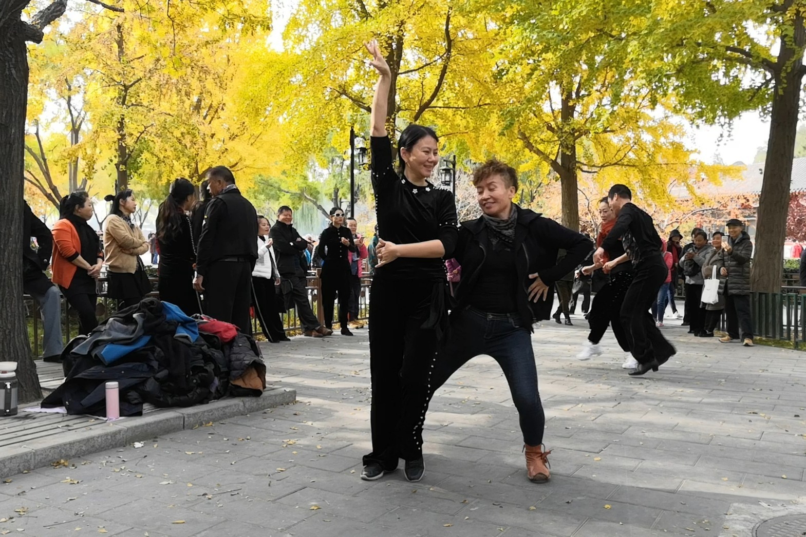 广场舞自由步视频大全_视频广场舞步自由教学完整版_广场自由舞步教学视频