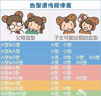 血形性格特征_有没有bo型血性格特点_性格受血型影响有多大