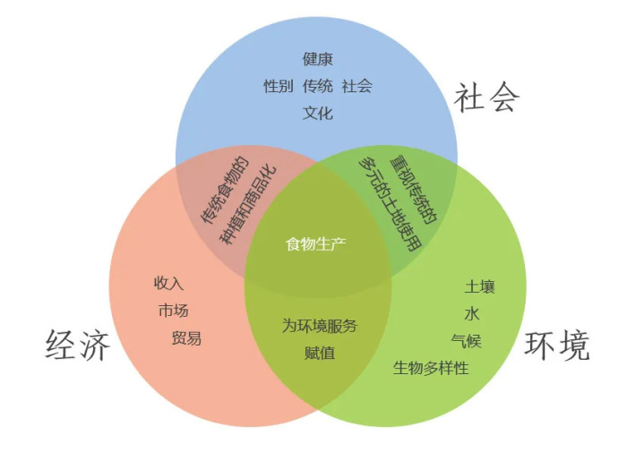 所有属性强化增加5%_有什么要加属性强化_属性强化加多少伤害