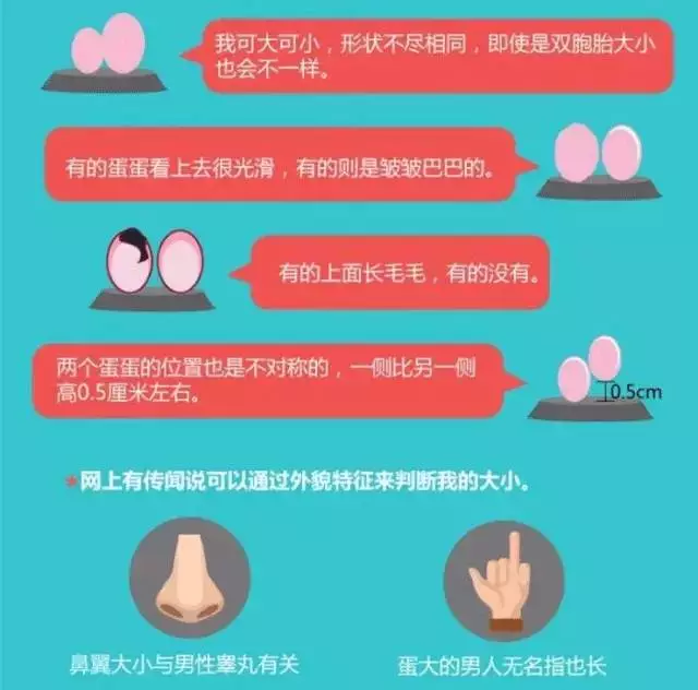 蛋蛋赚真的可以提现么_蛋蛋赚钱_蛋蛋赚钱app