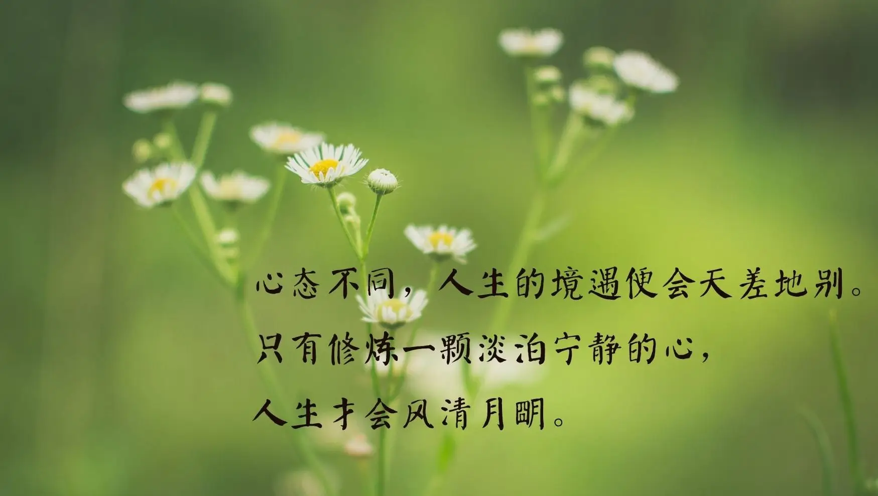 女人飞吻怎么回复_女人飞吻啥意思_女人飞吻