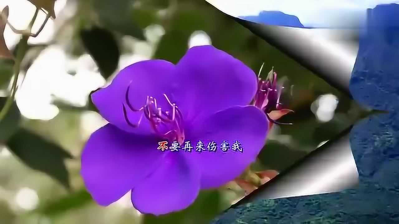 不要再来伤害我女生版_自我体罚要疼没有伤害_dj版你就这样伤害了我