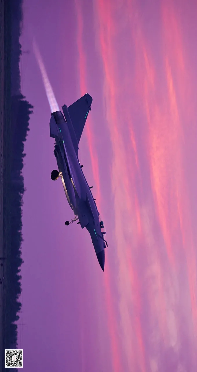敌对空域2_决对空域_空域被占领