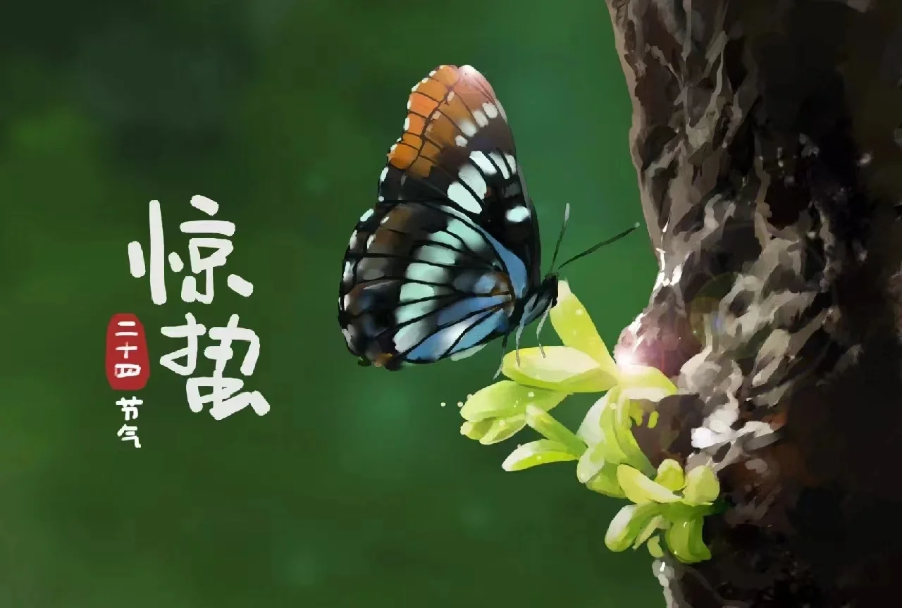 中国码m码多大_多少码是m码_中国码m是多大