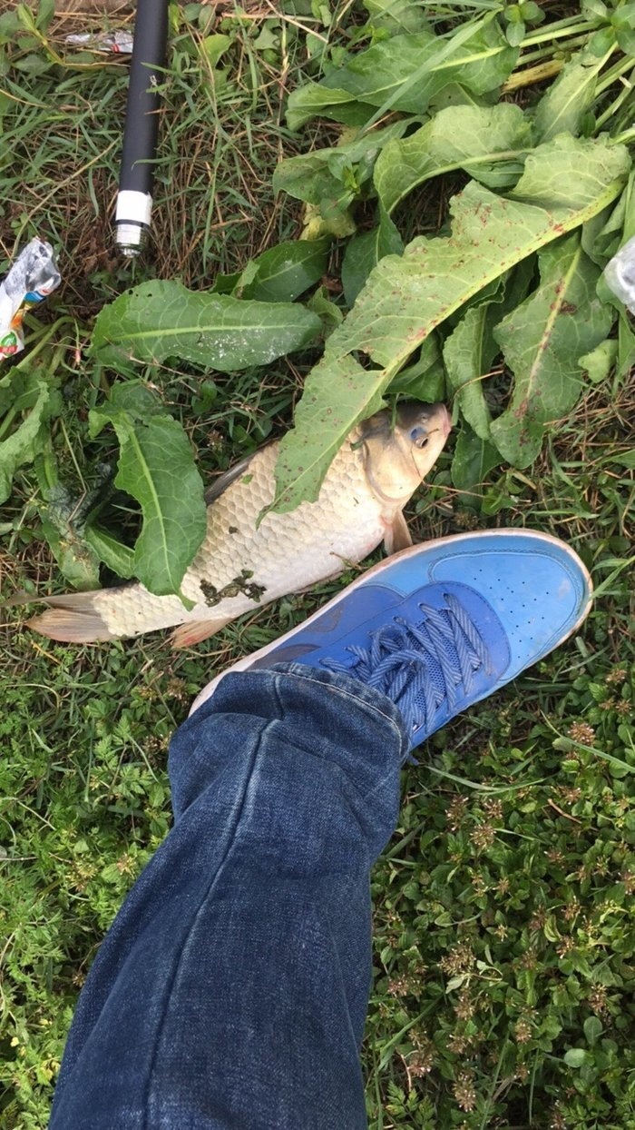 多少码是m码_中国码m码多大_中国码m是多大