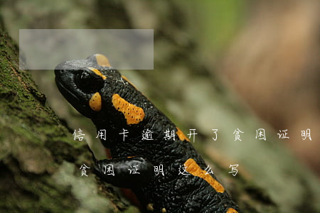 村委会可以开健康证明吗_村委证明健康开会可以开多久_村委证明健康开会可以开几次