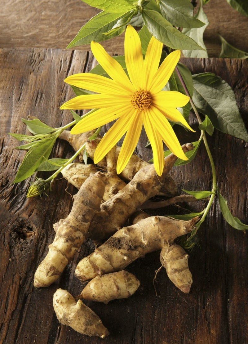 资源网_资源大师_wakfu 资源