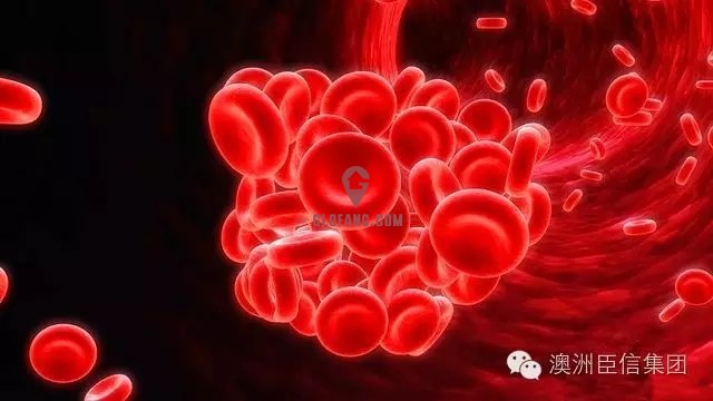 僵尸枪手3有手机版的么_僵尸枪手一内购破解版_僵尸枪手安卓版