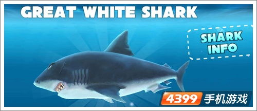 鲨鱼吃人游戏下载