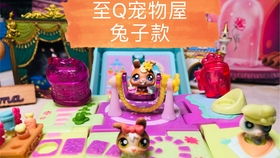 至q宠物屋游戏