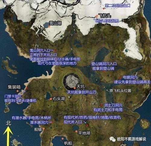 大海解说森林游戏