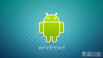 安卓系统怎么是2g,安卓系统崛起的起点