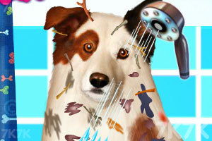 小狗的糖果冒险 