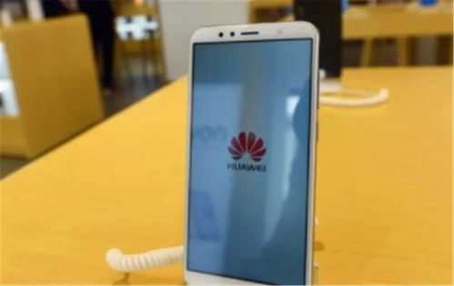 旧的安卓系统可以升级吗,轻松迈向新版本体验